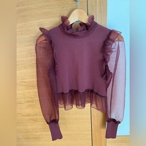 Zara Burgundy Cropped Top with Sheer Details